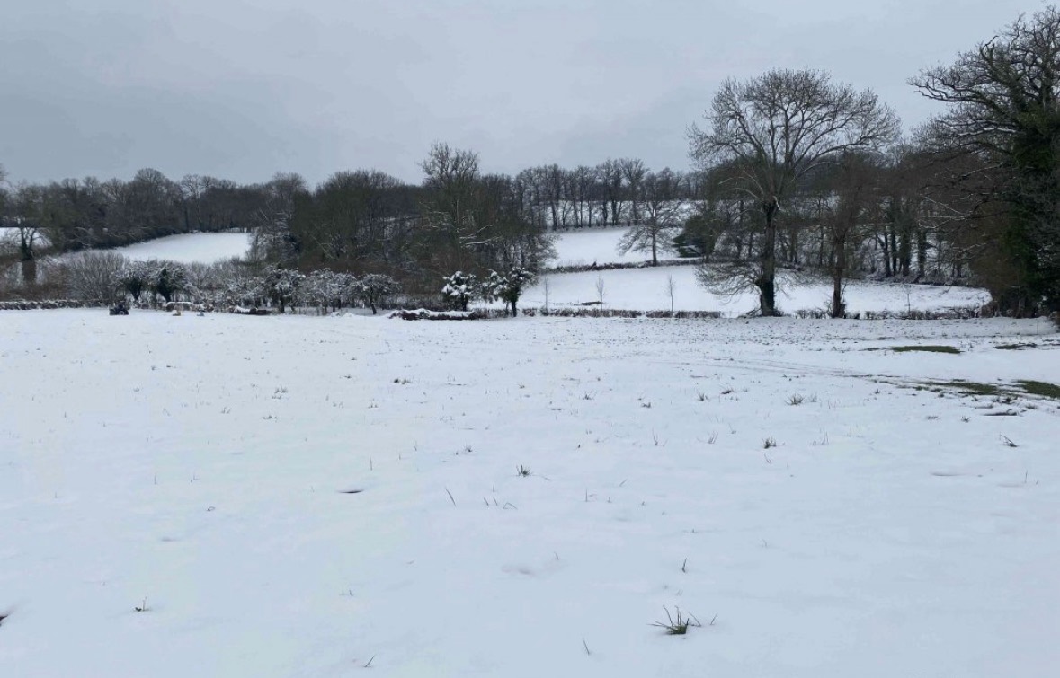 Le domaine de la bio’veillance — photo 1
