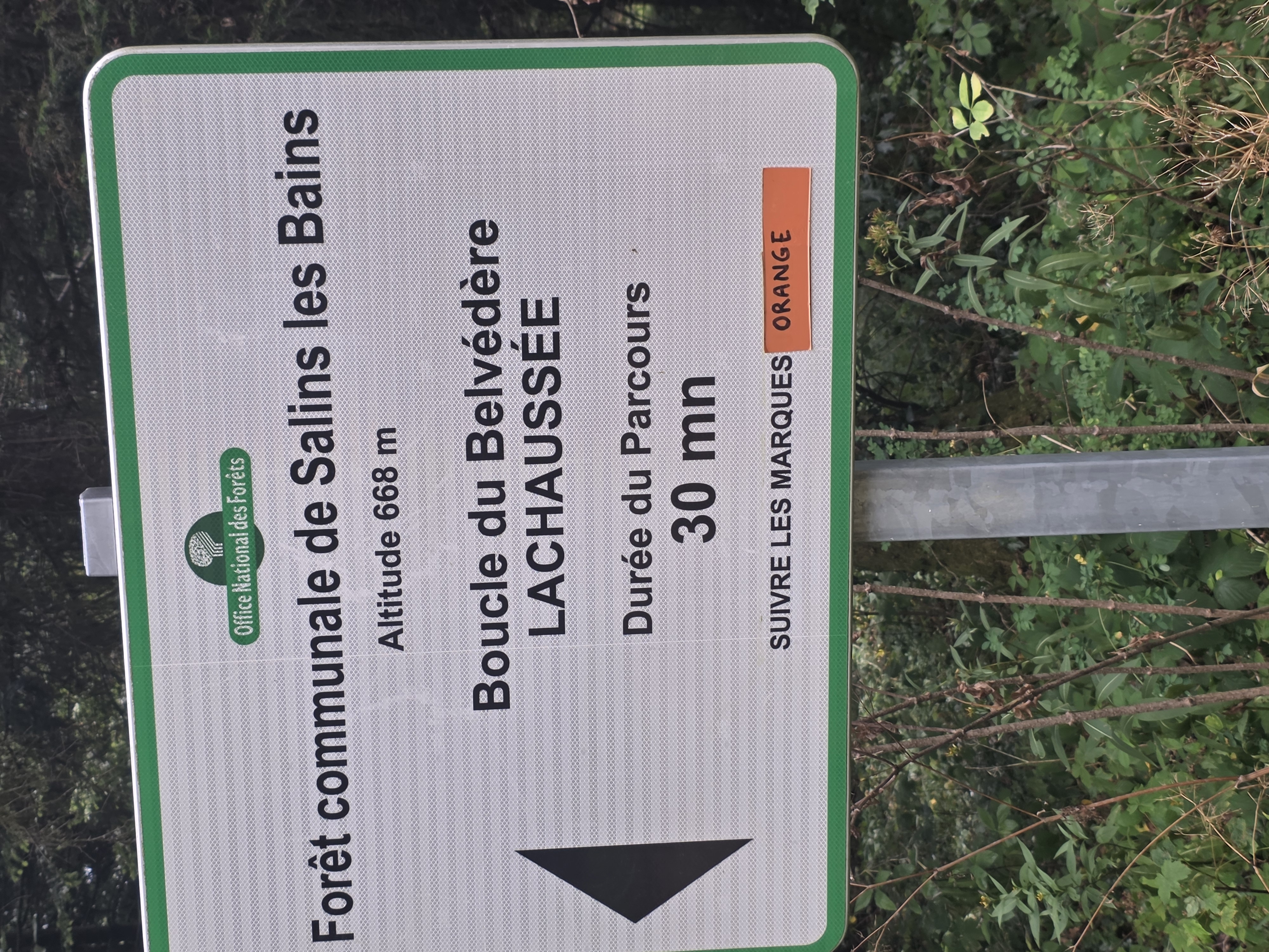 Parking de la forêt communale de Salins les Bains — photo 5
