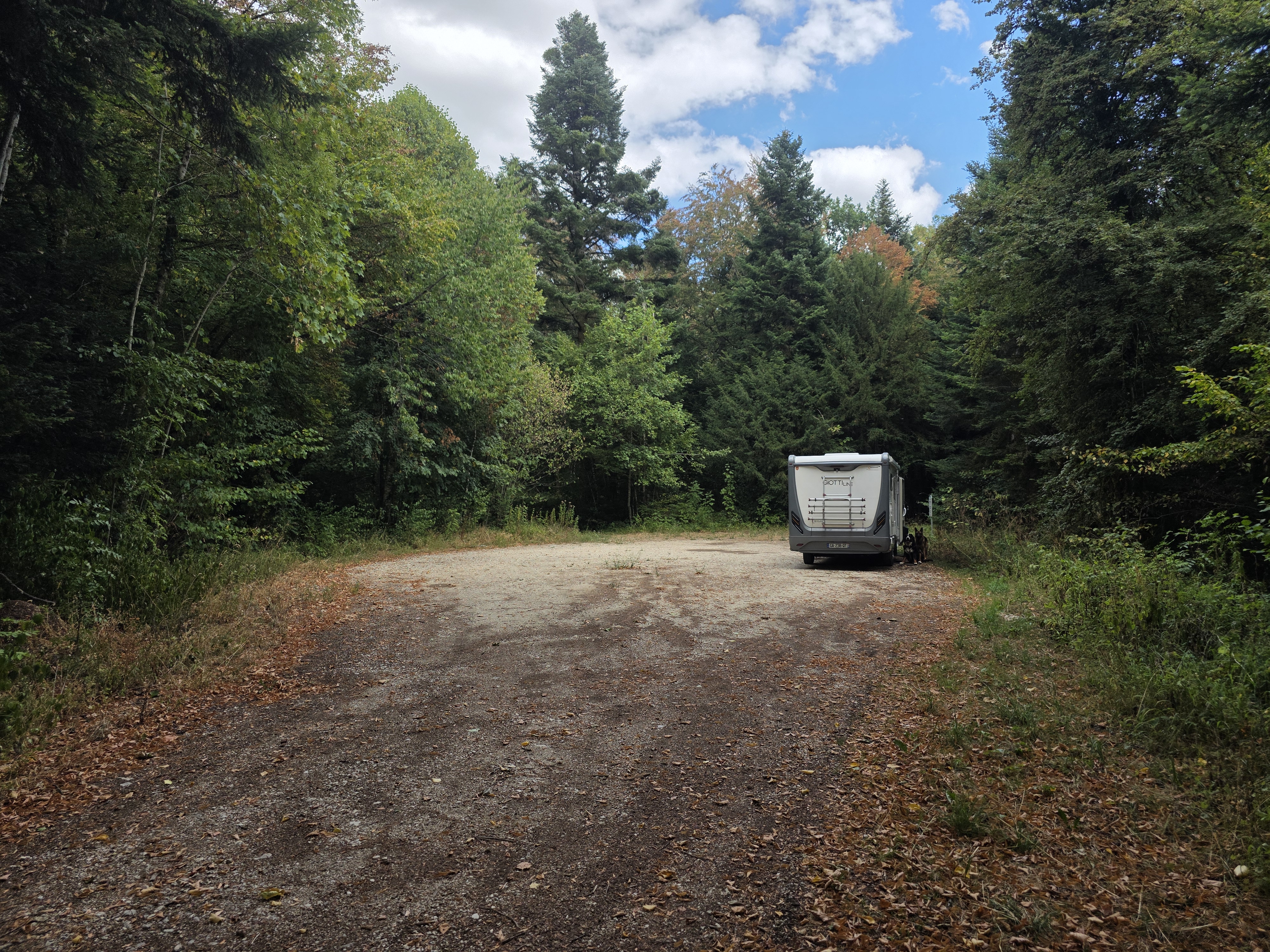 Parking de la forêt communale de Salins les Bains — photo 1