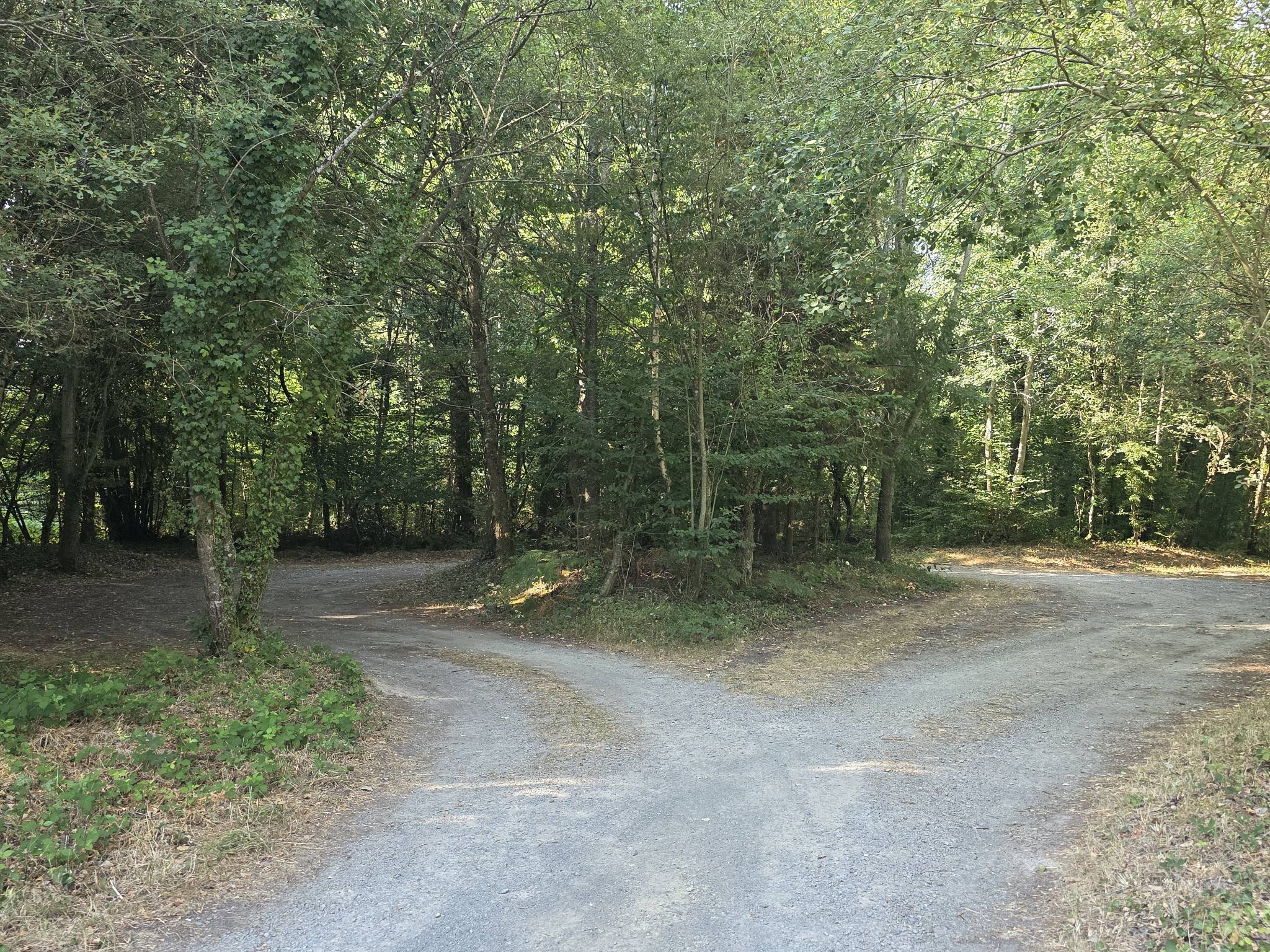 foret de Montauban-de-Bretagne — photo 3