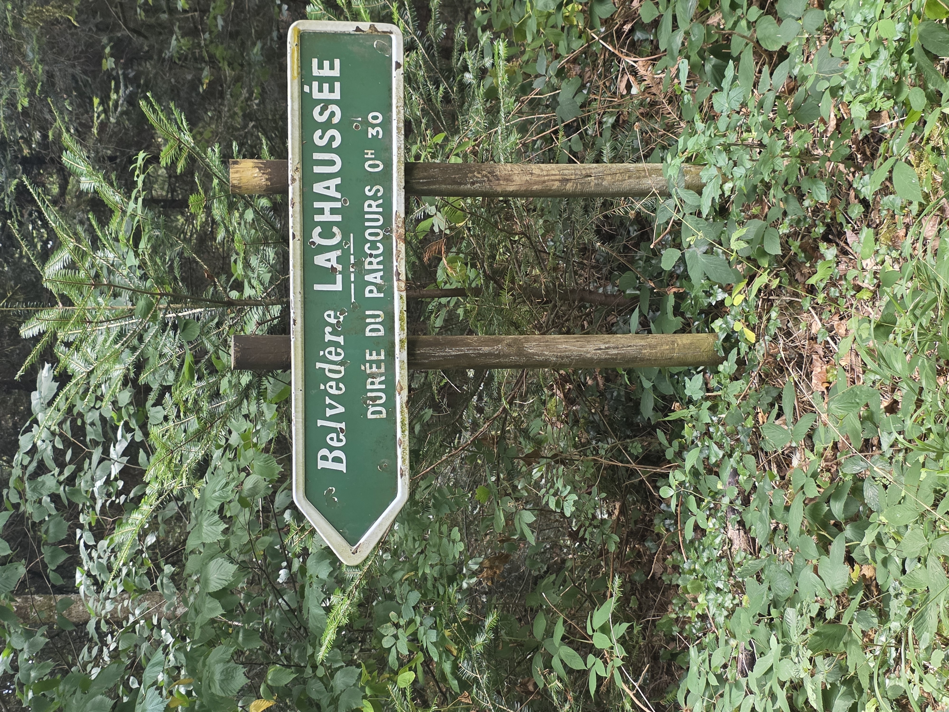 Parking de la forêt communale de Salins les Bains — photo 4