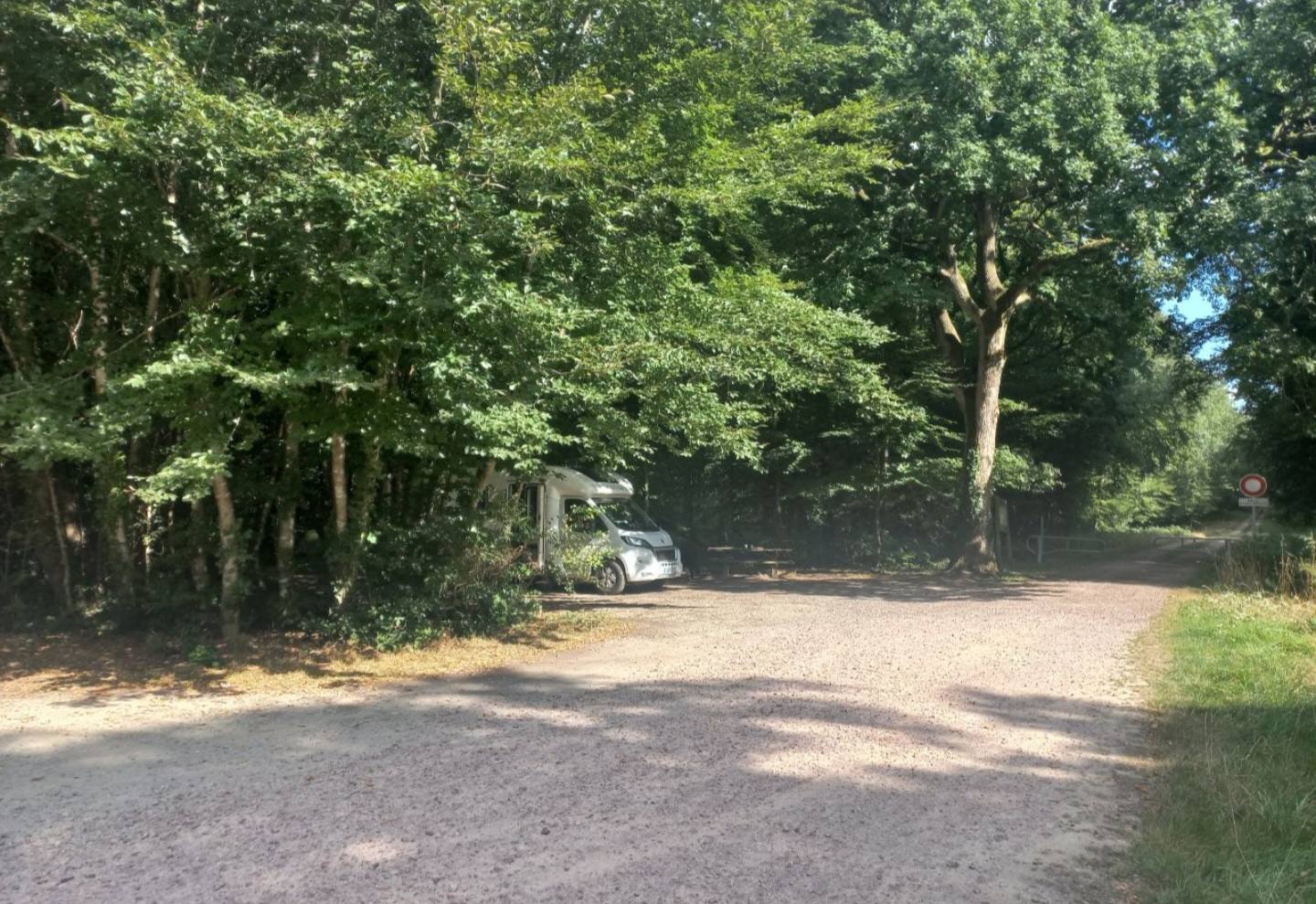 foret de Montauban-de-Bretagne — photo 5