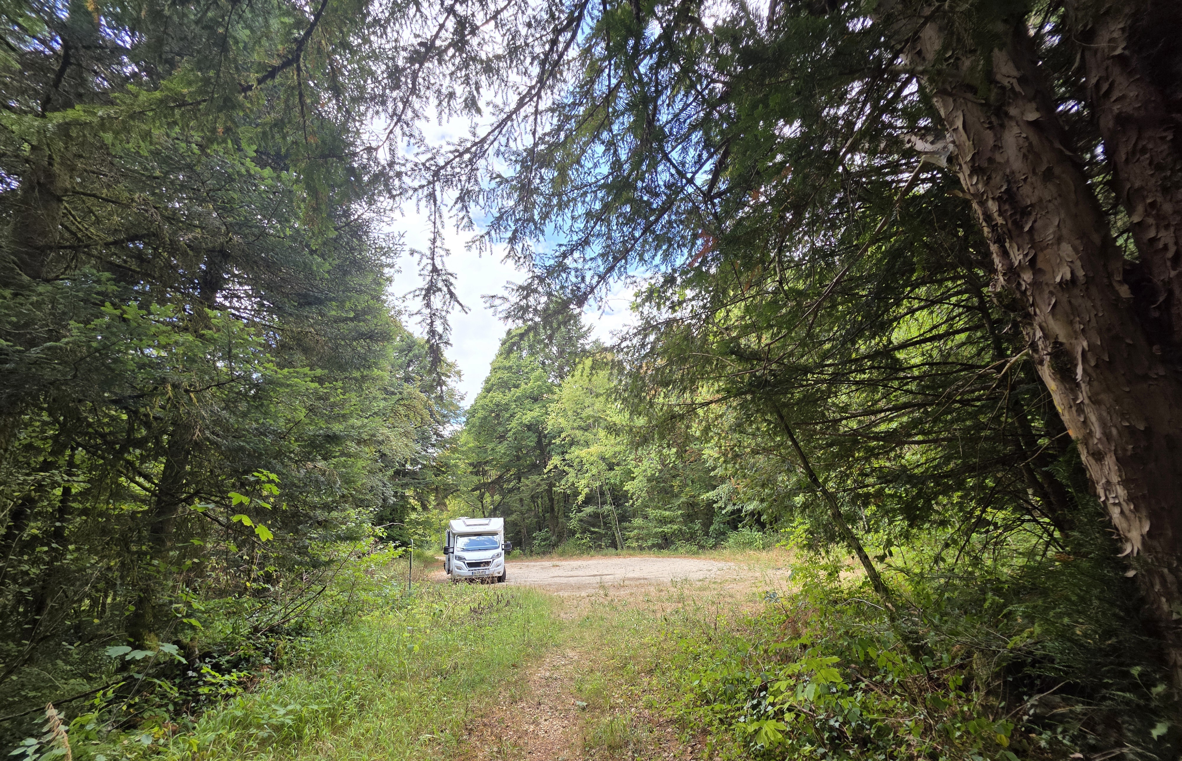 Parking de la forêt communale de Salins les Bains — photo 3