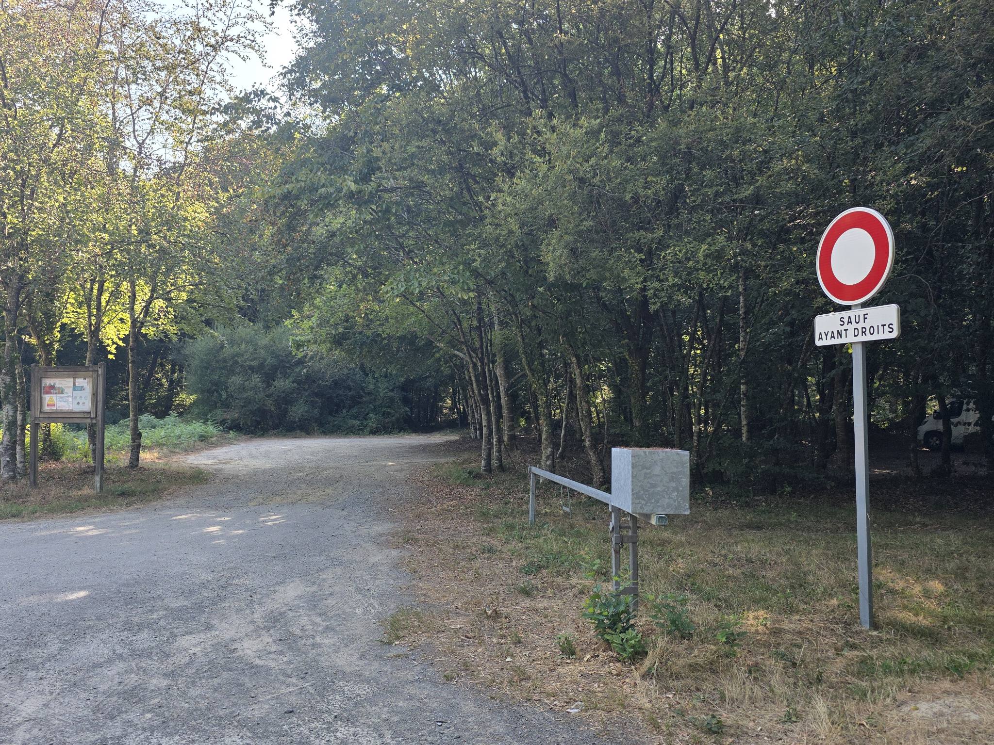foret de Montauban-de-Bretagne — photo 4