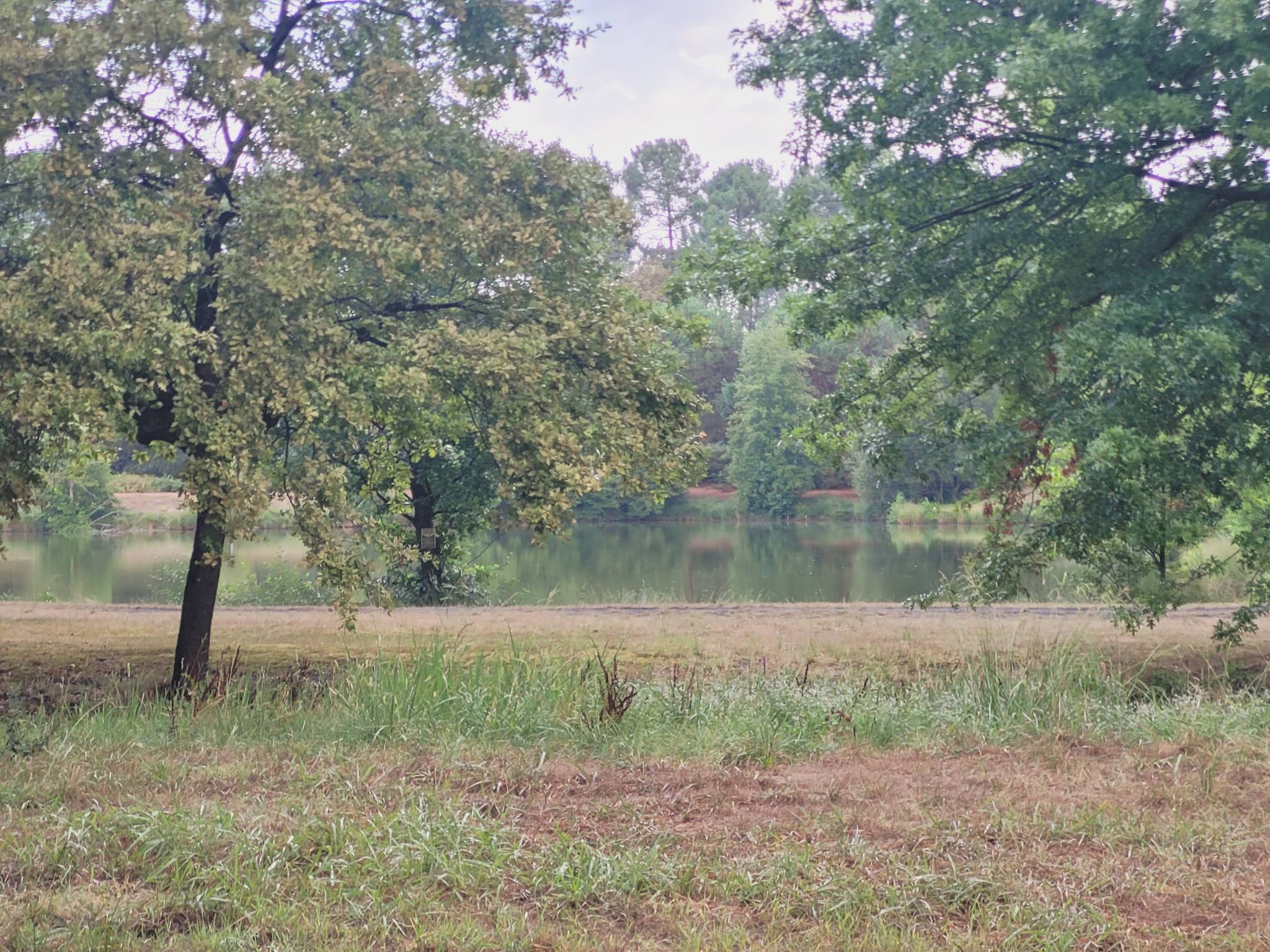 aire de jeux route d'Ous Pins Tartas — photo 1