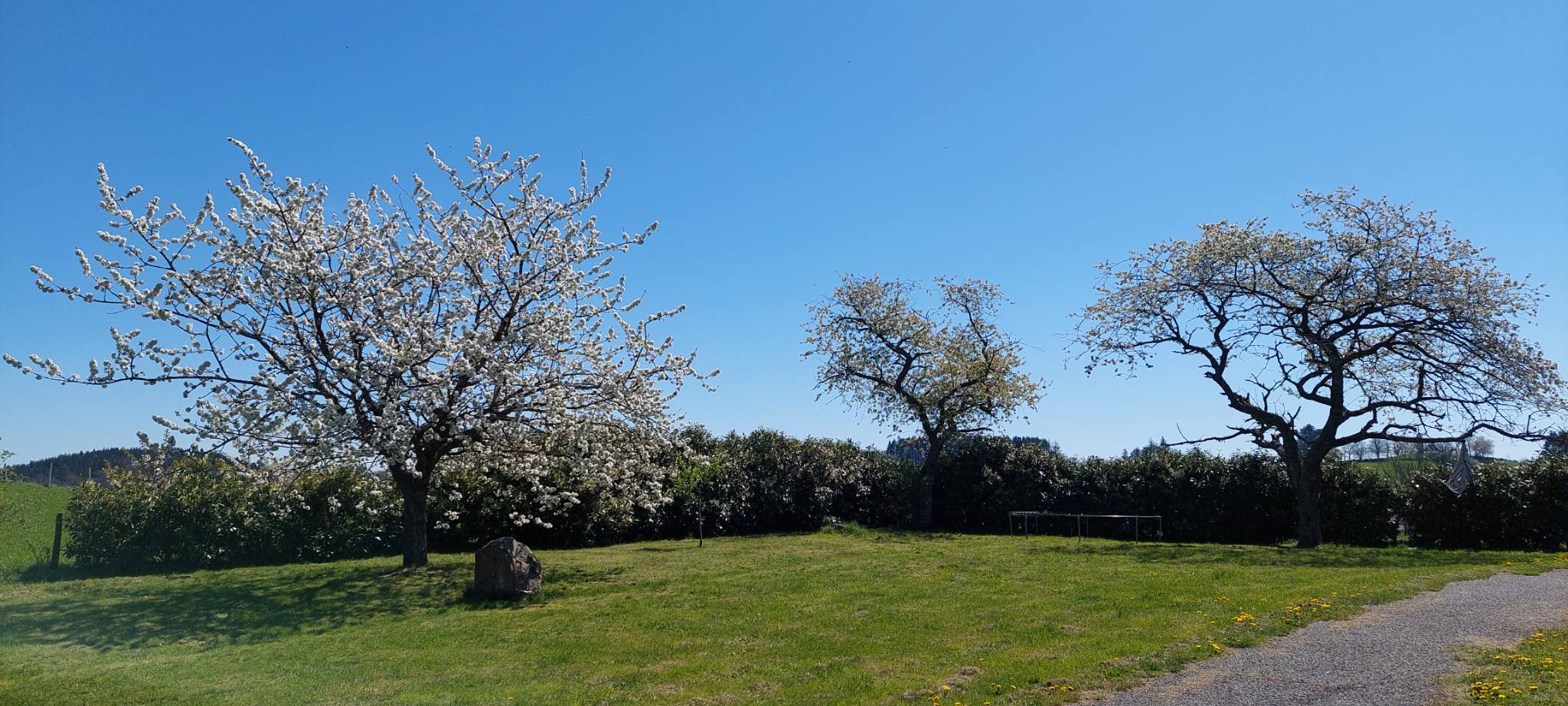 Chez Cin au bois d'Azole — photo 1