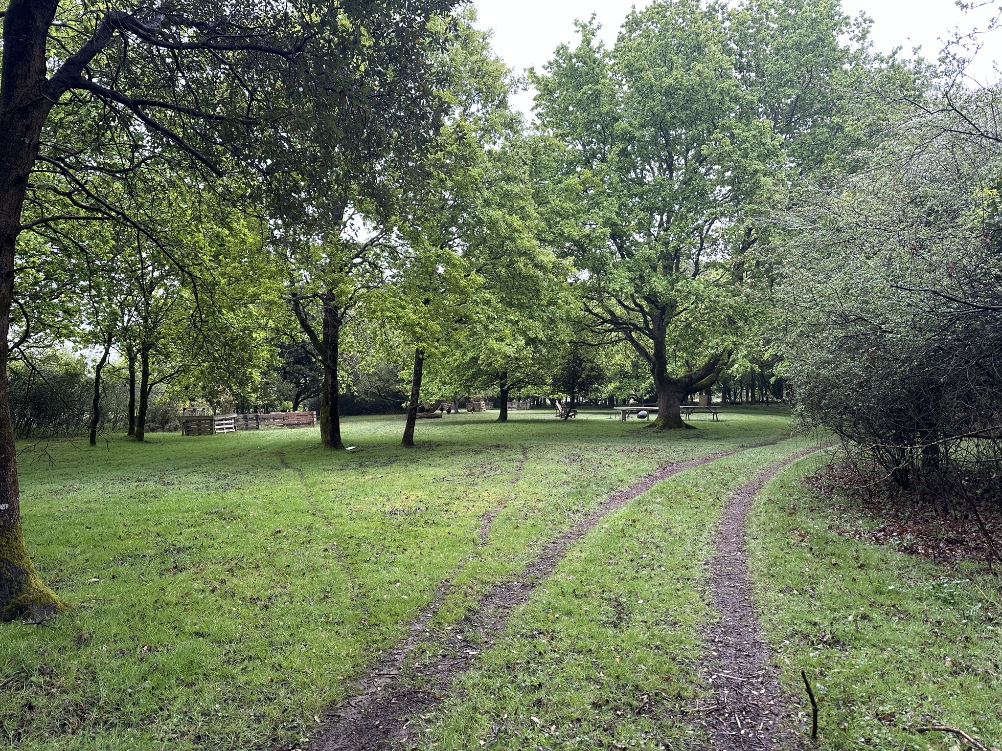 32 Park nature — photo 1