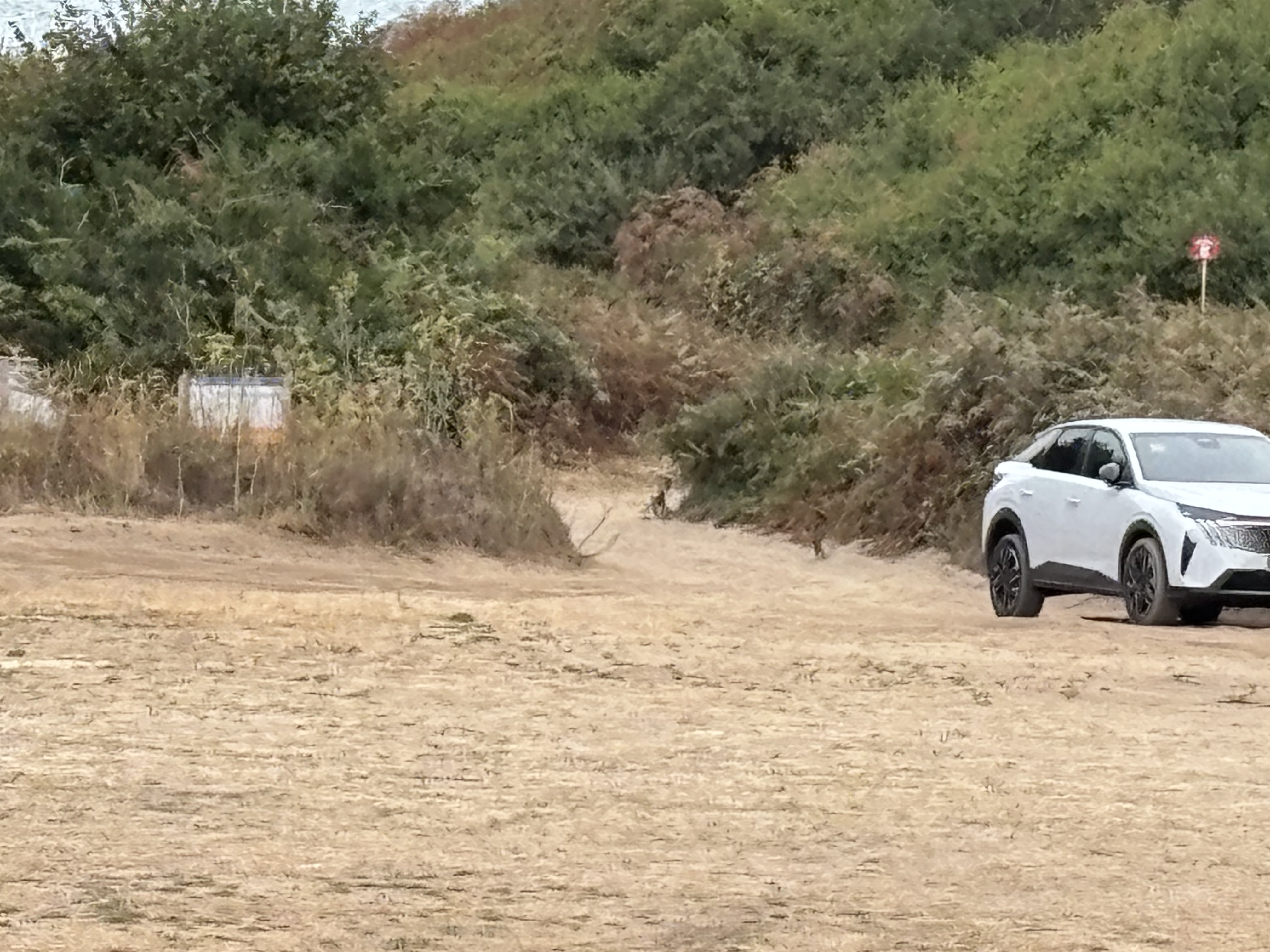 Parking — photo 3