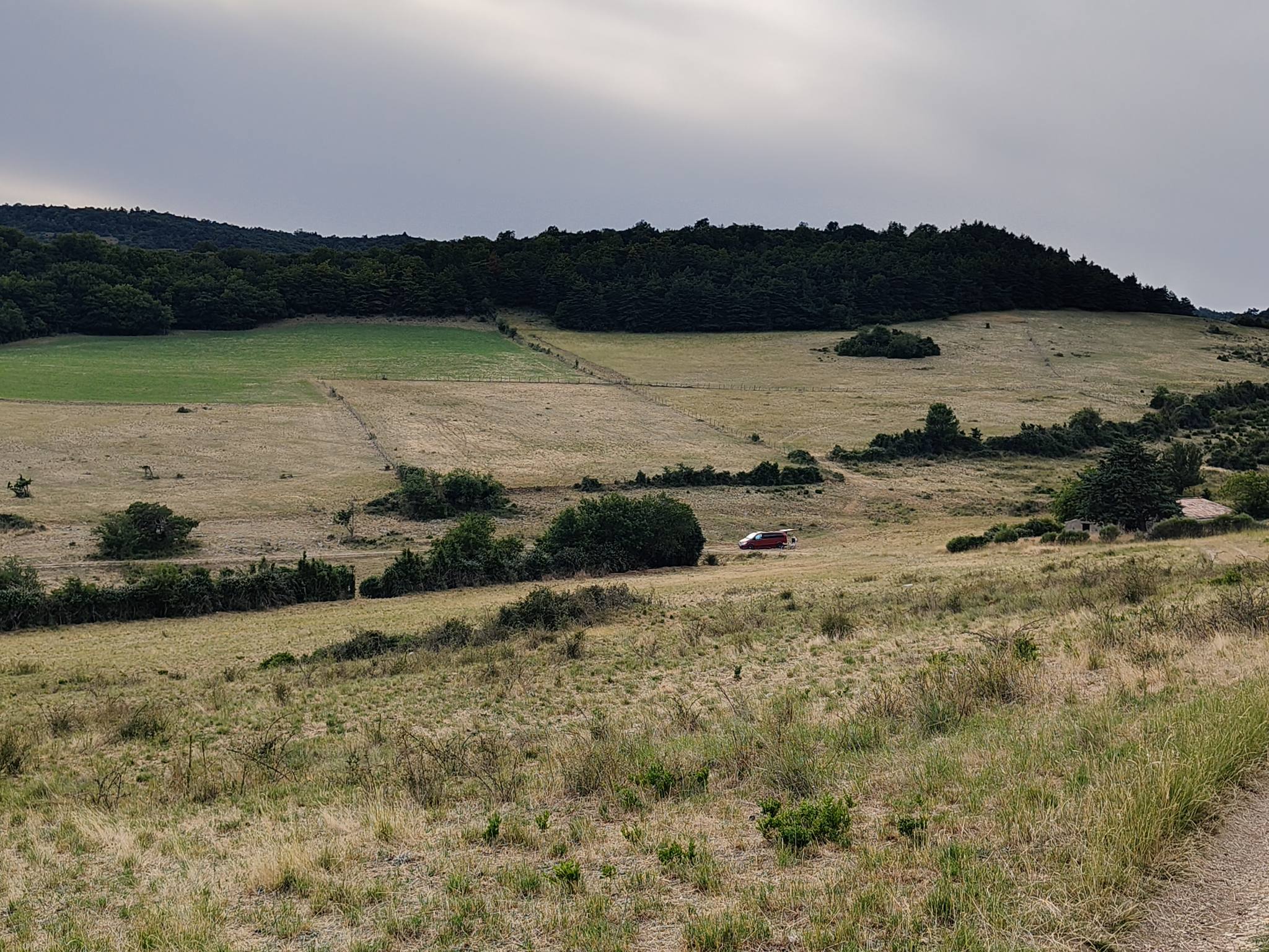 en pleine nature. — photo 1