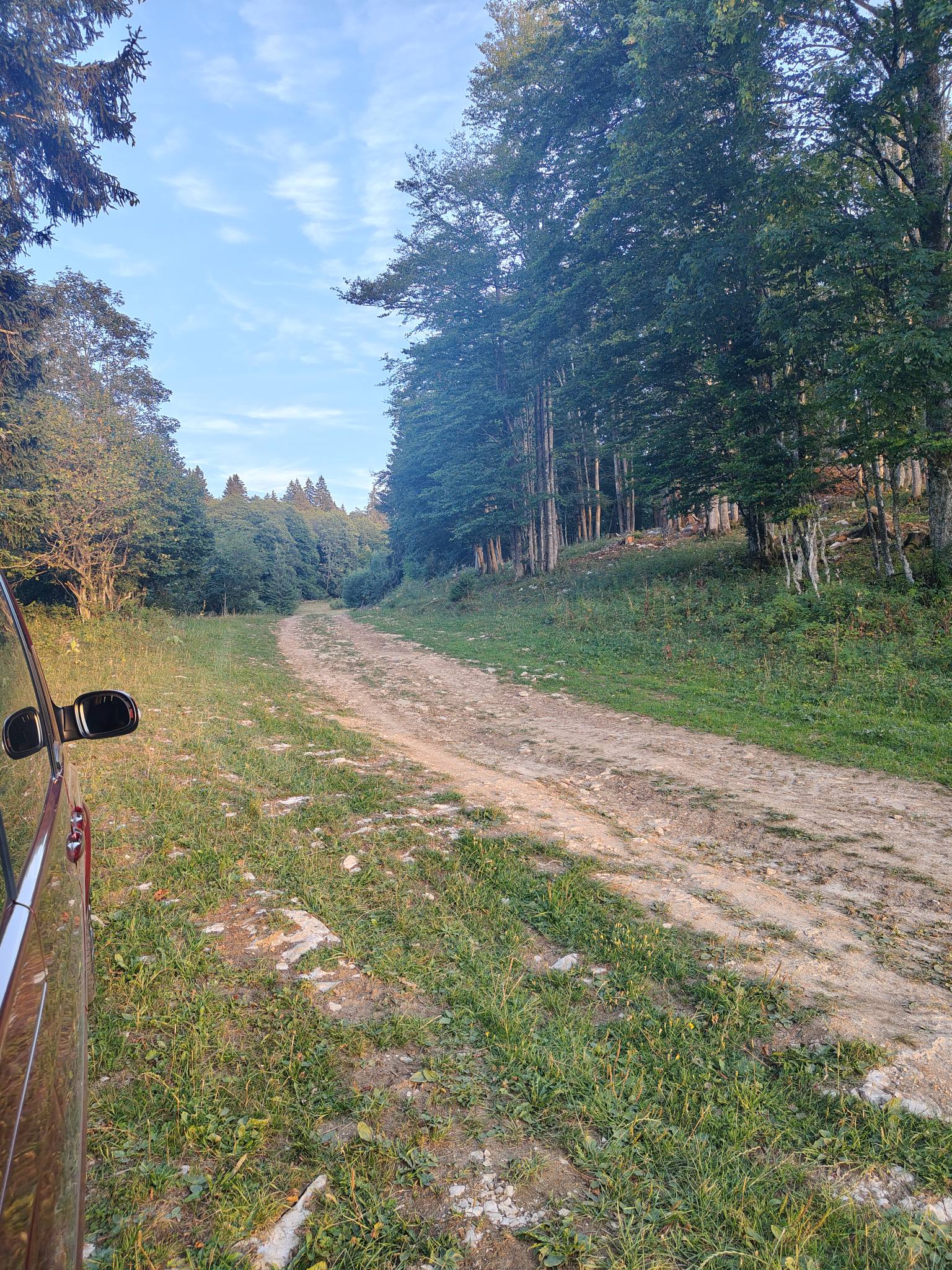 en pleine nature — photo 2